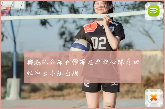 挪威队公布世预赛名单核心球员回归冲击小组出线