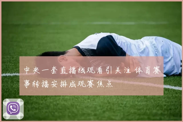 中央一套直播线观看引关注 体育赛事转播安排成观赛焦点