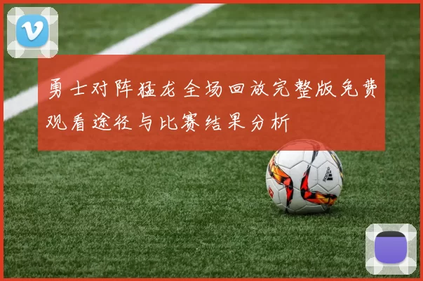 勇士对阵猛龙全场回放完整版免费观看途径与比赛结果分析