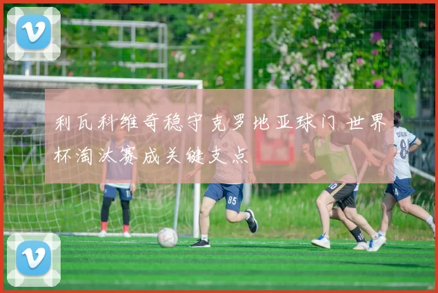 利瓦科维奇稳守克罗地亚球门 世界杯淘汰赛成关键支点