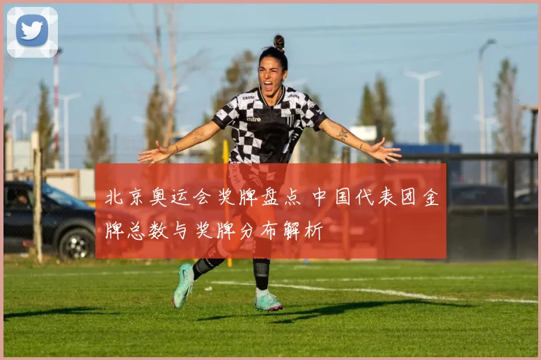 北京奥运会奖牌盘点 中国代表团金牌总数与奖牌分布解析
